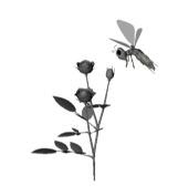 Bl&uuml;tenpflanze mit Biene